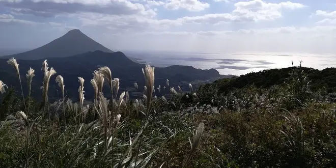 【頴娃町大野岳】薩摩半島のパノラマ絶景スポット大野岳　10月に桜が！？