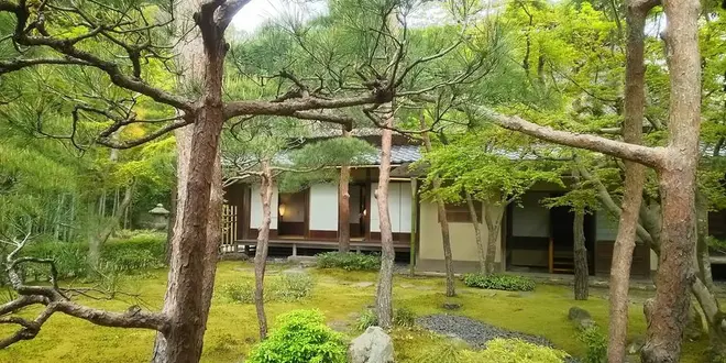 鎌倉大人の遠足