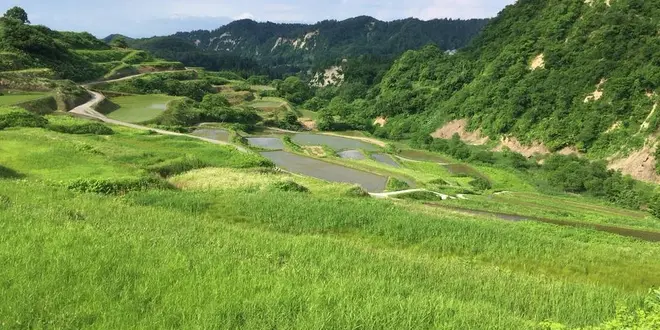 山形県大蔵村 紅葉 棚田 蕎麦 肘折温泉