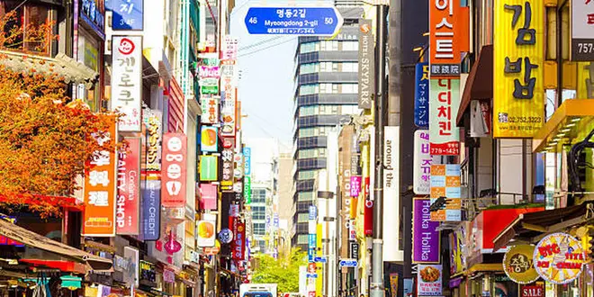 じょしかい