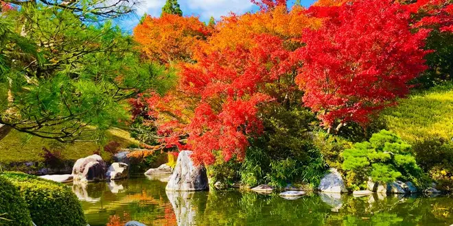 紅葉と芸術の秋🍁