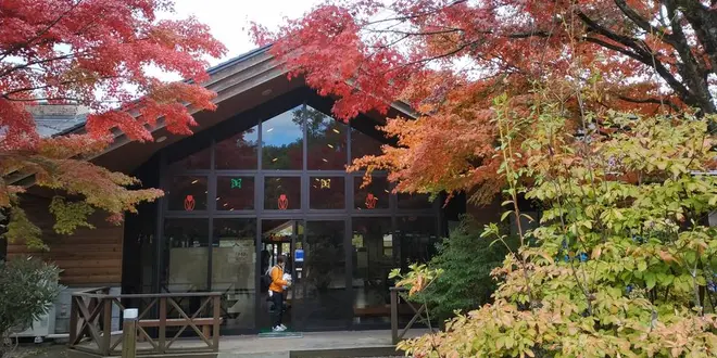 大人のキャンプin日光