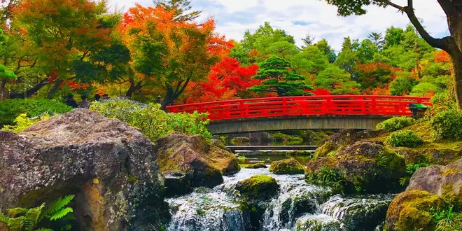 島鳥岡紅葉ドライブ