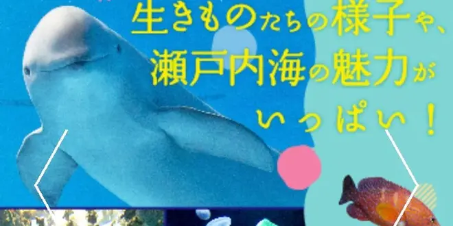 友達が水族館に行きたいと言うので…