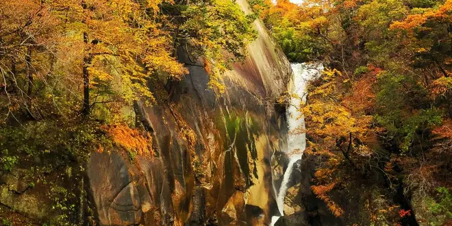 東京から日帰り。昇仙峡で紅葉の旅withわんこ