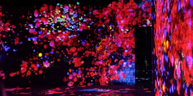 お台場・デジタルアートミュージアムを楽しむ1日☆