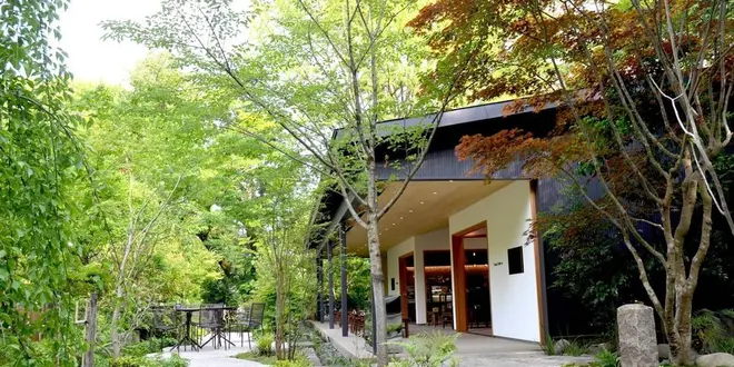 2022秋の小田原箱根ドライブ