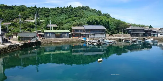 猫に会いに行く　青島