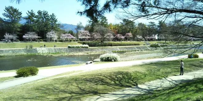 上賀茂神社2023.6/19
