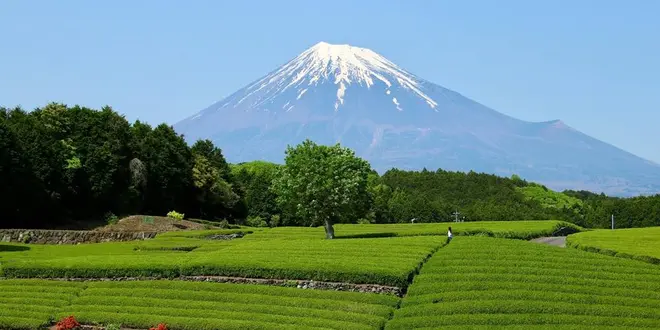 静岡長いぞ箱根旅行