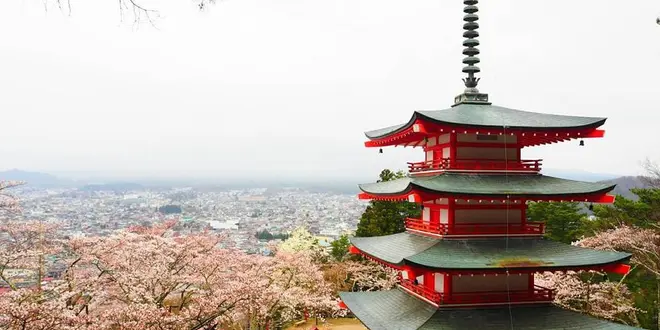 大人遠足部VOL.4 山梨の旅編