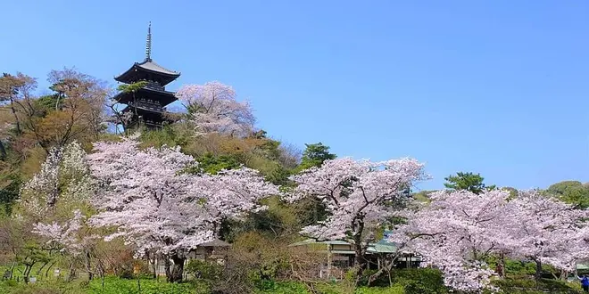 横浜ぶらり