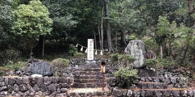 熊野古道🦕