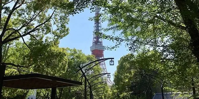 晴れたら芝公園でピクニック