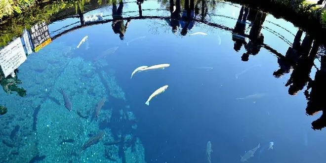 家族旅行2