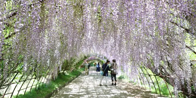 【福岡】女子大生の福岡旅行 二泊三日