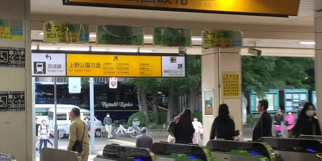 上野〜旧岩崎庭園〜 東大生でなくても東大でランチ〜2k540〜御徒町