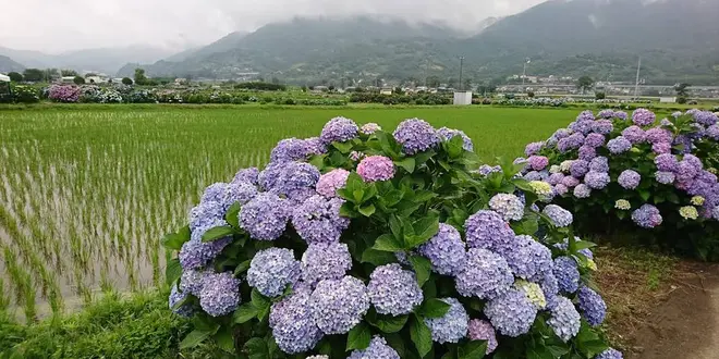 南足柄➕山北の旅