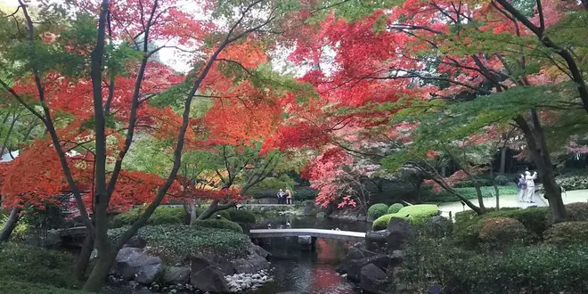 荻窪ぶらり