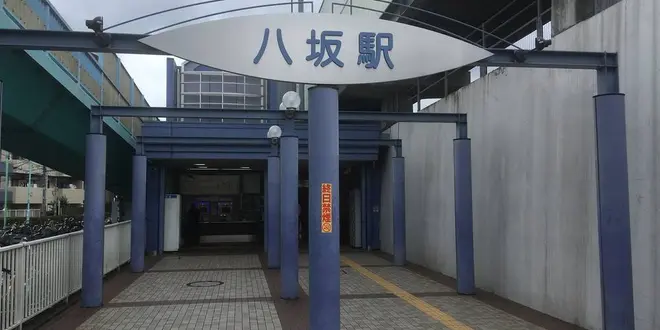 おさんぽ🚶‍♀️野火止用水
