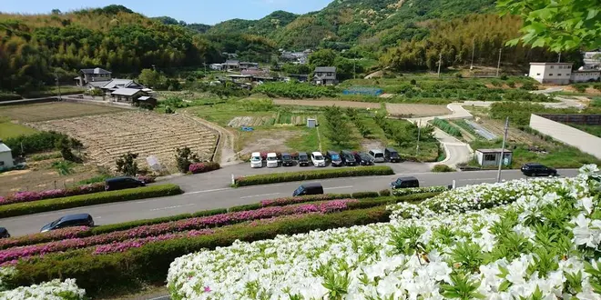秋の和歌山自然巡り🍁