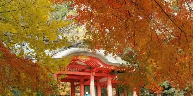 紅葉🍁香取神宮⛩と成田山新勝寺と食べ歩き🍡🍘