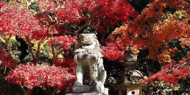 紅葉🍁香取神宮@茨城スポット🚘