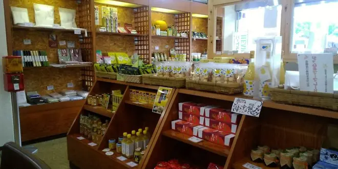 尾道・瀬戸田の旅