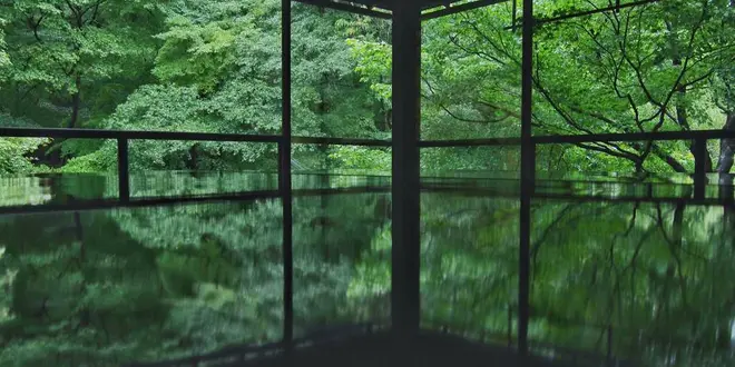 秋の京都🍁洛北ぶらり旅