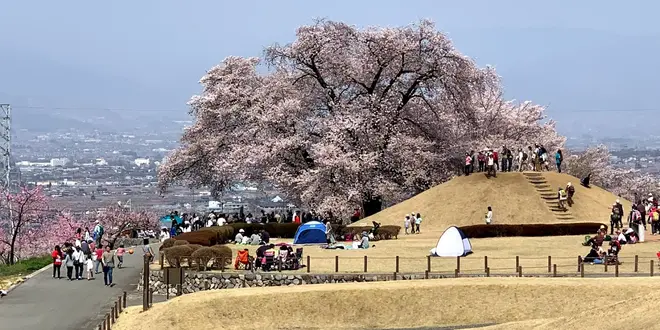 山梨&ちょっぴり長野~春旅行🌸~