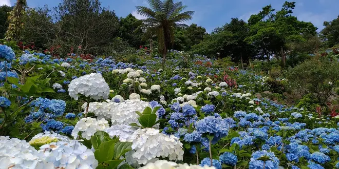今帰仁村日帰り満喫旅♡