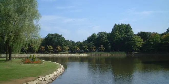 【つくば牛久】公園でピクニック！近くのお洒落カフェでテイクアウトプラン
