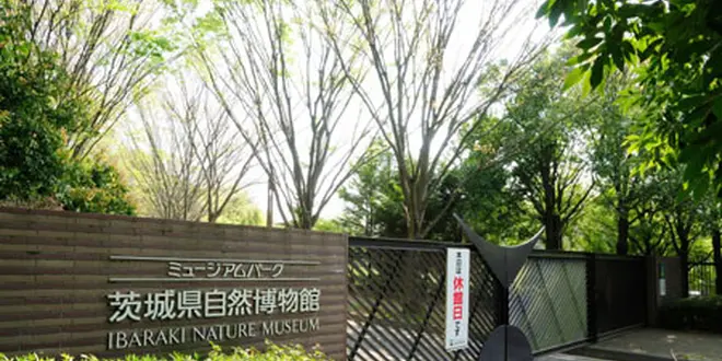 ドライブ(茨城)