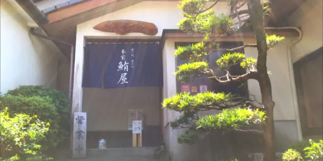 伊豆高原、伊東ひとり旅プラン