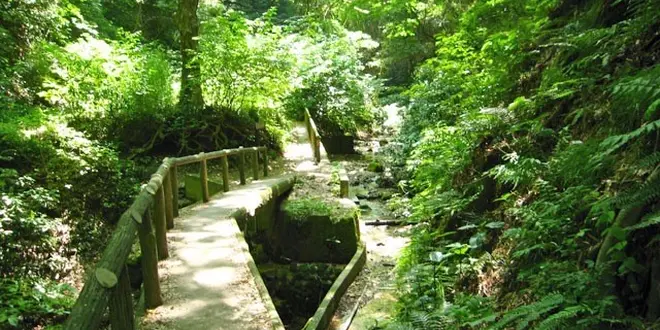 大楠山で絶景ハイキング