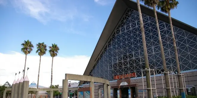 須磨は海水浴だけじゃない！須磨海浜水族園のウミガメに餌をあげよう！