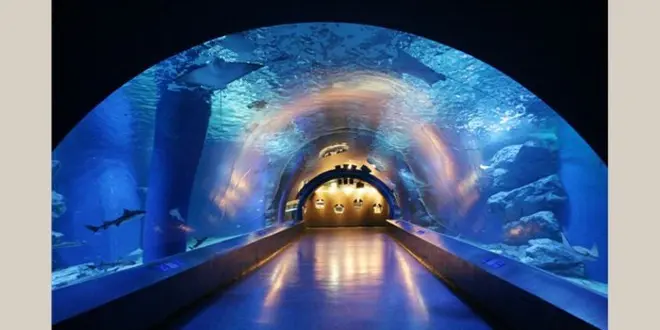 ”子供が主役”の超気軽な都心の本格水族館