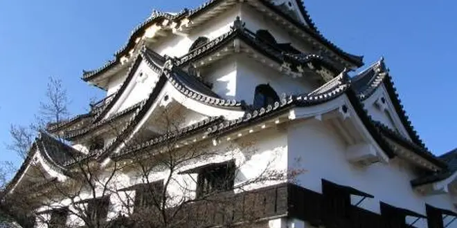 彦根城、城下町で癒しのひと時