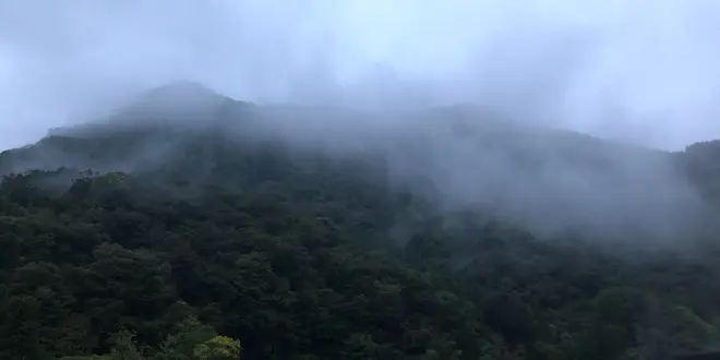 GOTOトラベル奥久慈編