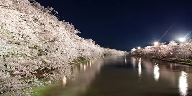GWの旅行は青森がおすすめ！一度は見たい弘前公園の桜🌸