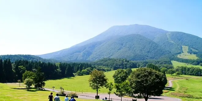 信州・信濃町　癒しの森