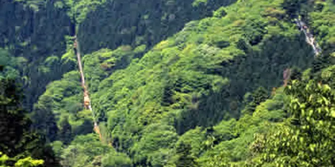 初心者ならまずは高尾山！