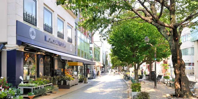 東横線沿いに住むことを妄想しながら歩く。