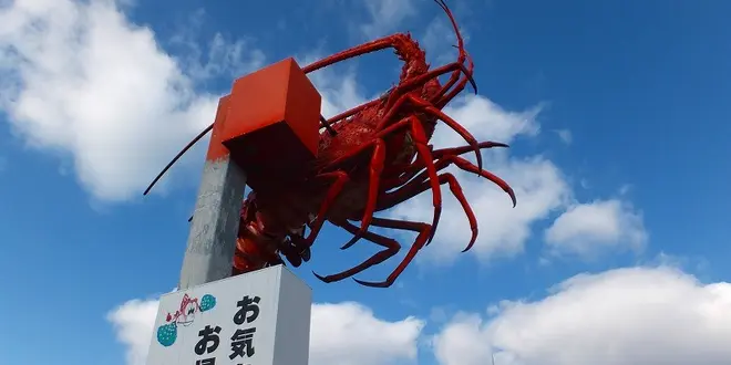 浜島の巨大伊勢海老巡り