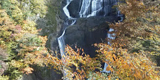 秋のバス旅行　袋田の滝　大子温泉やみぞ　リンゴ狩り