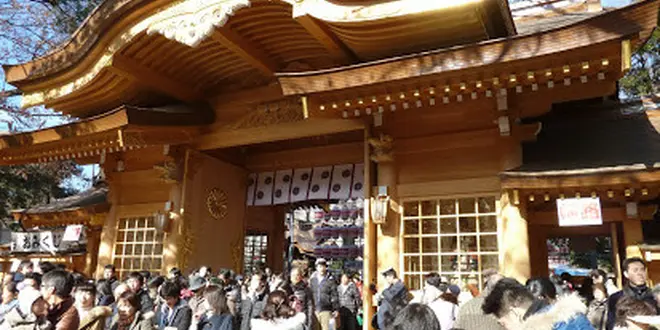 お散歩で府中の魅力を再発見
