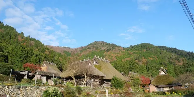 【京都】大人な京都グルメ食べ尽くし旅🦌