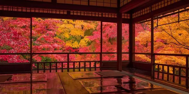 11月京都旅行