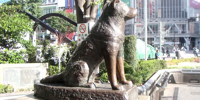 東京好きなとこ(仮)
