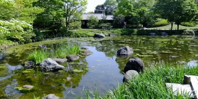 都会のオアシス昭和記念公園の２人乗り自転車は最高に楽しい！